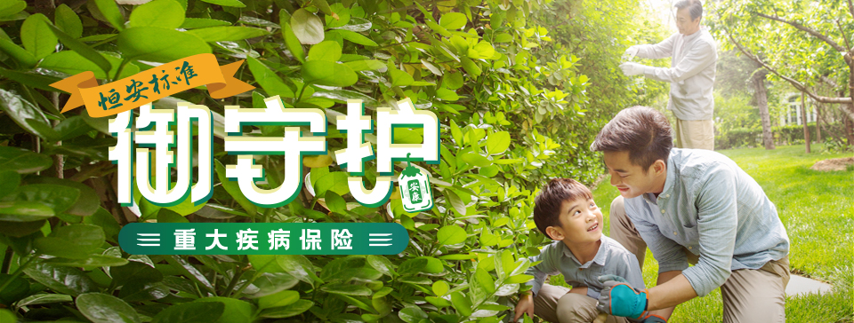 恒安标准御守护重大疾病保险