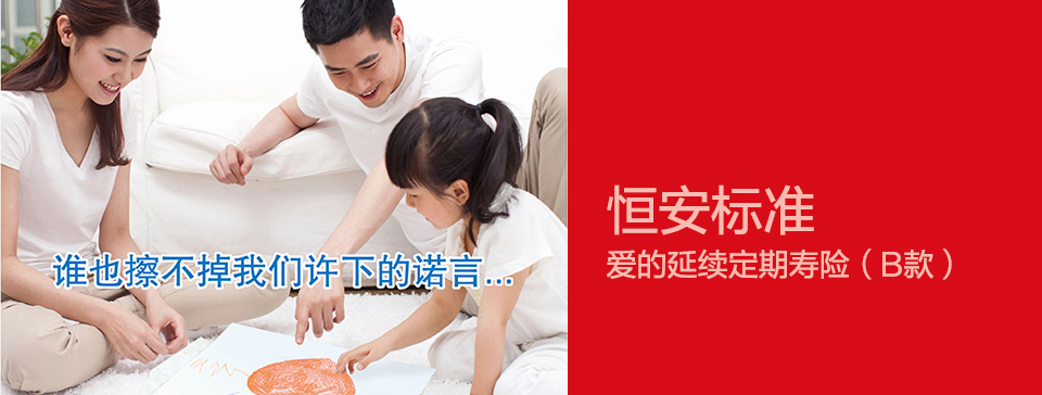 恒安标准爱的延续定期寿险（B款）