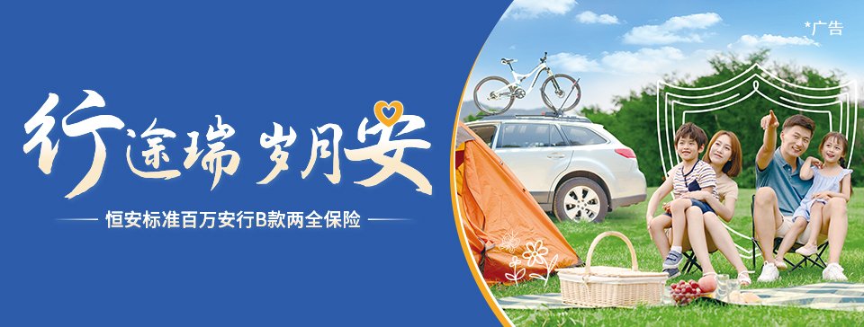 恒安标准百万安行B款两全保险